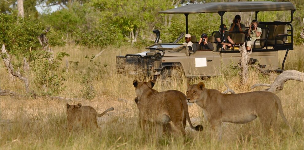 visit-gorilla-safaris-murungi-safaris